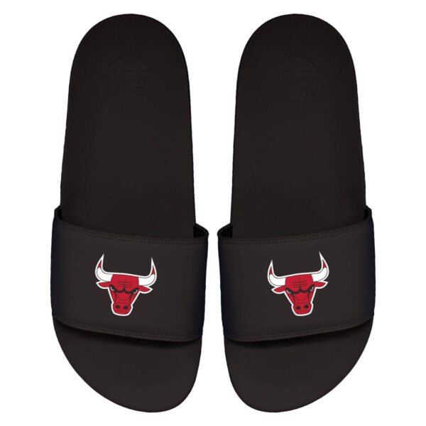 iSlide - NBA Slides - The Motto - Chicago Bulls - Primary Logo