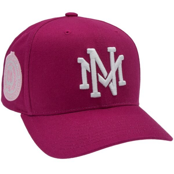 Branded Purple Pink Pro Crown Snapback Mitchell & Ness