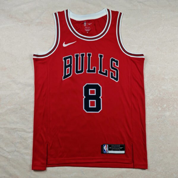 Caleb Wilson Chicago Bulls Icon Edition Heat Pressed Nike Basketball Jerseys