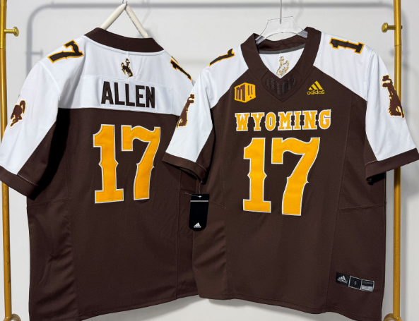 Stitched Men's Josh Allen #17 Wyoming Cowboys White Brown College Jersey